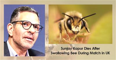  Sunjay Kapur, a Rich Businessman and Ex-Husband of famous Bollywood actress Karishma Kapoor, Dies After Swallowing Bee During Match in UK